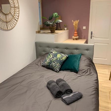 Studio Cosy Kaysersberg Centre المظهر الخارجي الصورة