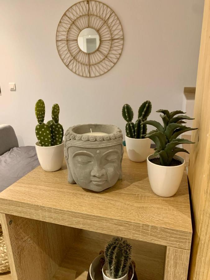 Studio Cosy Kaysersberg Centre المظهر الخارجي الصورة
