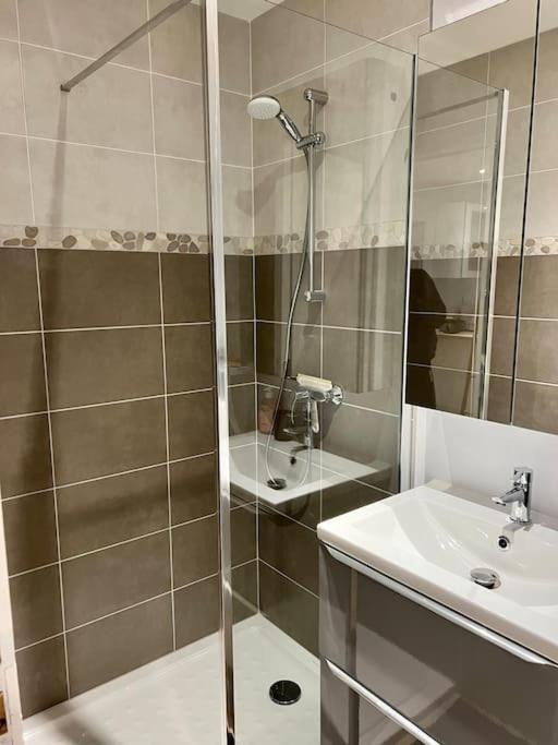 Studio Cosy Kaysersberg Centre المظهر الخارجي الصورة
