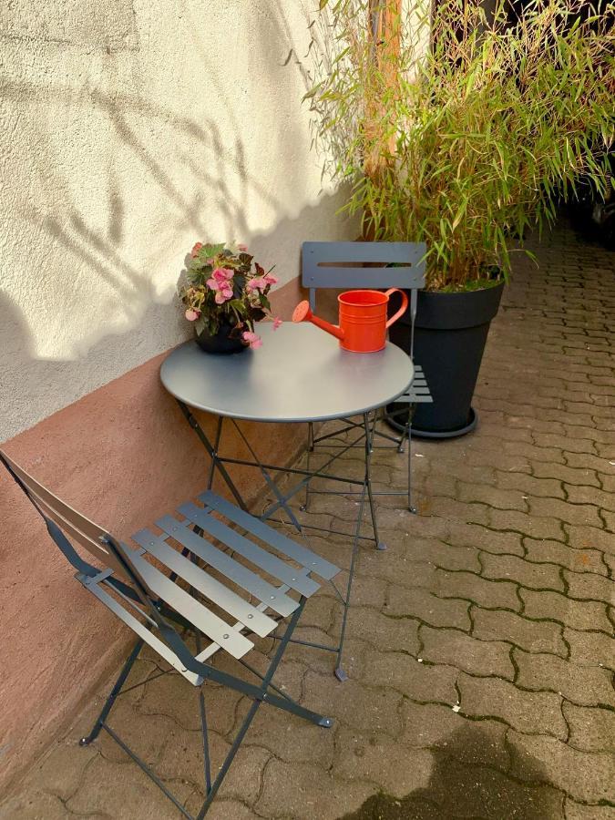 Studio Cosy Kaysersberg Centre المظهر الخارجي الصورة