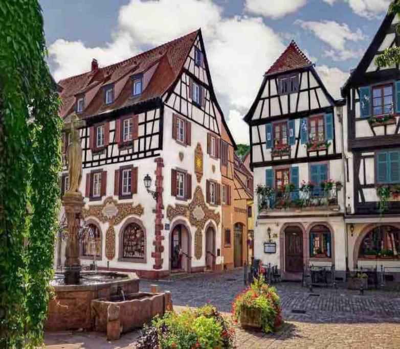 Studio Cosy Kaysersberg Centre المظهر الخارجي الصورة