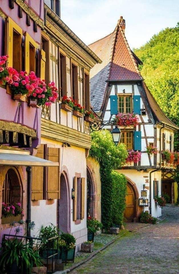 Studio Cosy Kaysersberg Centre المظهر الخارجي الصورة